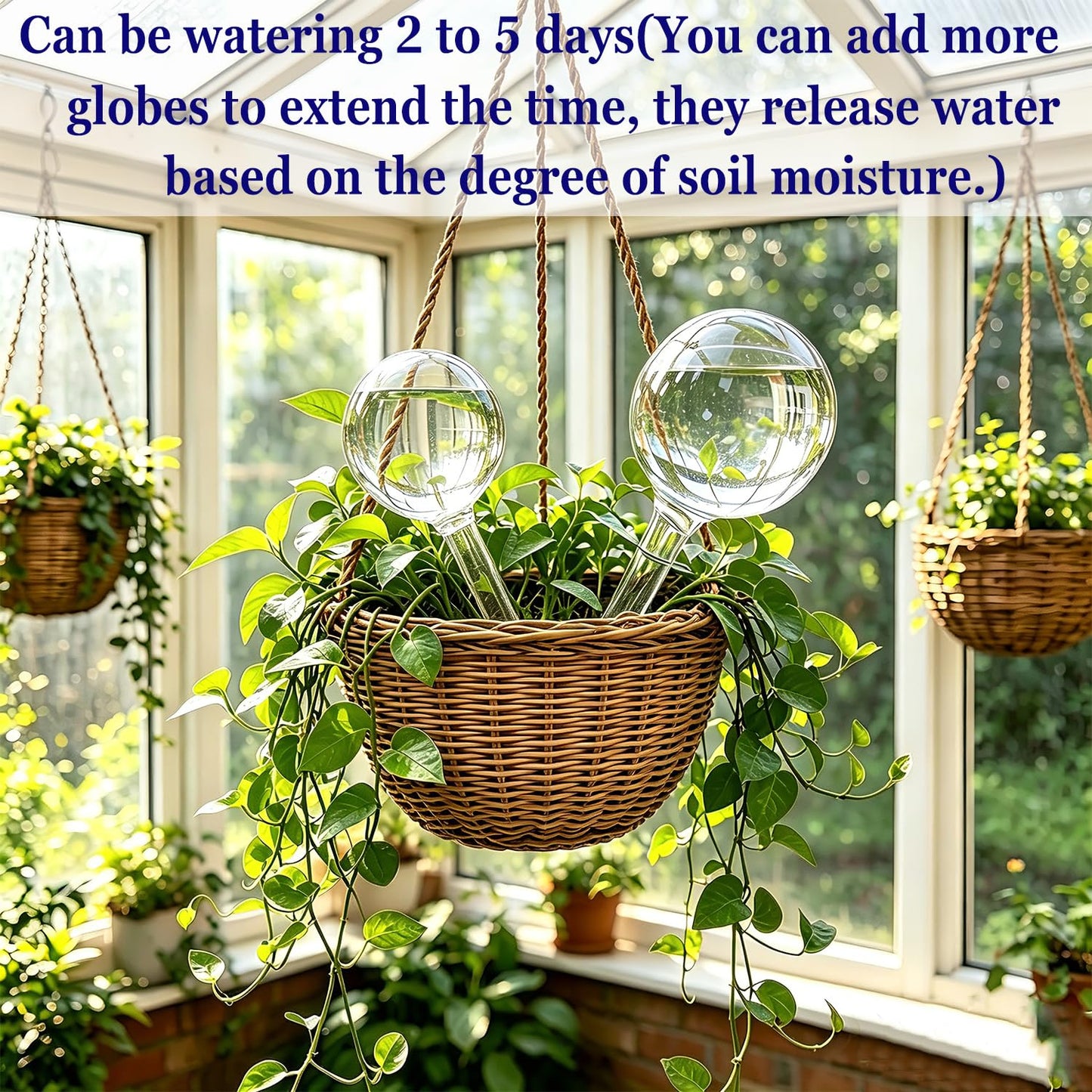 Kingbow Plant Self Watering Globes, Large 12pcs Durable Self Watering Bulb Up to 5 Days of Irrigation for Outdoor Indoor Plant, Automatic Plant Waterer Stake Ideal for Vacation & Daily Plant Care