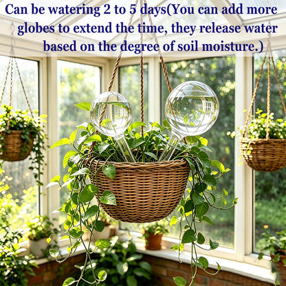 Kingbow Plant Self Watering Globes, Large 12pcs Durable Self Watering Bulb Up to 5 Days of Irrigation for Outdoor Indoor Plant, Automatic Plant Waterer Stake Ideal for Vacation & Daily Plant Care