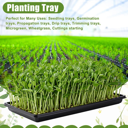 Vesici 20 Pack 1020 Seed Starting Tray Heavy Duty Plant Growing Flat Seedling for 72/128 Cell Plug Plant Nursery Tray No Hole Germination Transplant for Microgreens Gardening Greenhouse (L)