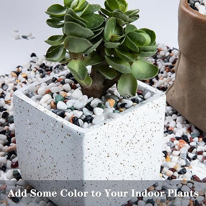 5lb Pea Silica Gravel Decorative Rocks, No Wax Pebbles Ideal for Fish Tank, Vases, Succulents, Home Decor and Garden Landscaping, Countryside Silica Gravel