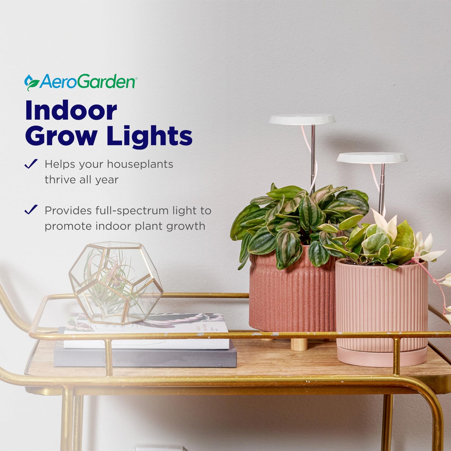 AeroGarden Stem Grow Light for Indoor Plants, Grow Live Plants Anywhere in The Home, Adjustable Light Modes, Cream