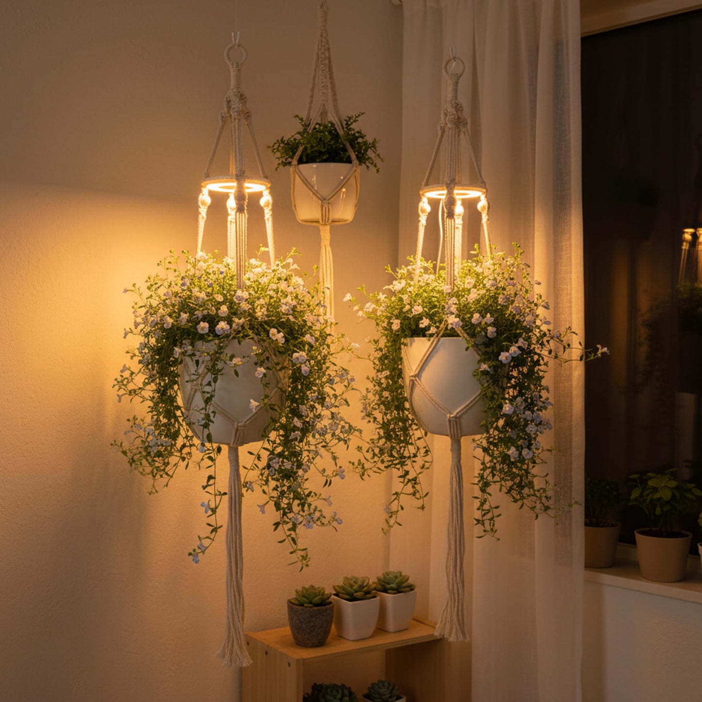 Lazukes 2 Pack Hanging Plant Grow Lights for Indoor Plants with Timer, Wall Mounted Full Spectrum Pendant Growing Light with Macrame Plant Hanger, Ceiling LED Planta Luz for Potted Plants Home Decor