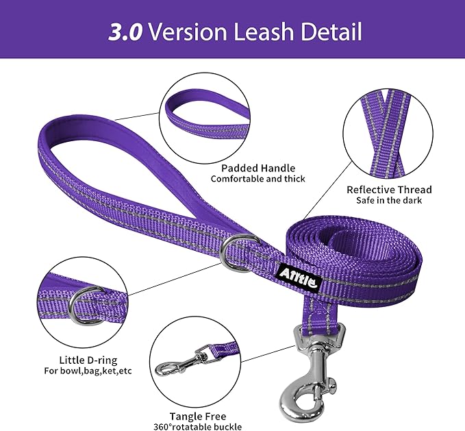 AIITLE Easy Walk Dog Harness and Leash Set - Pet Supply No Pull, Step in Adjustable Dog Harness with Padded Vest, Dog Harness No Choke Over, Easy to Put on Medium Dogs Purple L