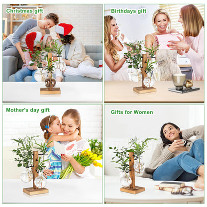 PAG-Mass Plant Propagation Station with 4 Glass Vases & Wood Stand, Hydroponic Air Planter for Indoor Plants, Unique Gardening Gift for Women & Plant Lovers, Desktop Terrarium for Home Decor