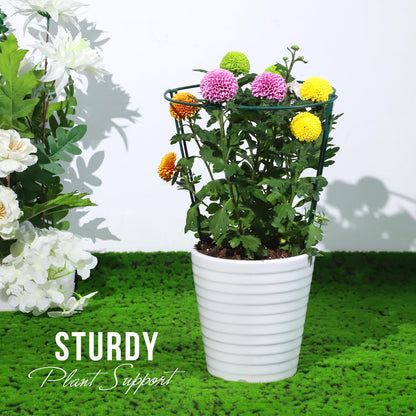 LEOBRO Plant Support Stakes, 4 PCS Plant Stakes, Plant Support, Peony Cages and Supports, Garden Stakes, Plant Stakes for Indoor Outdoor Plants, Hydrangea Support Cage, 10" W x 15.8" H