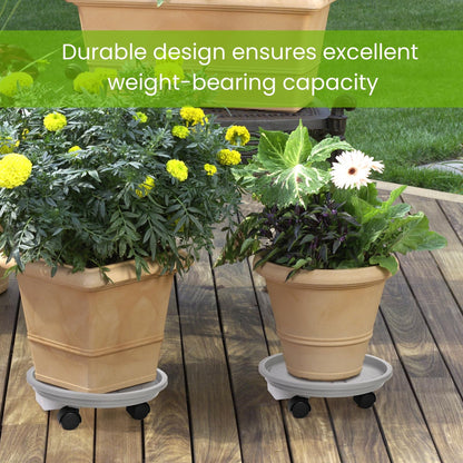 Nagpew 3 Pack Plant Caddy with Wheels, 12 Inch Heavy Duty Planter Pallet with Drainage Tray, Round Planter Pot Stand Dolly Casters Rolling Mover for Indoor Outdoor, Garden, Balcony