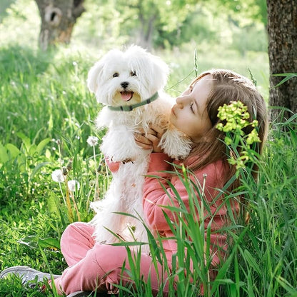 Green Dog Collar and Leash Set for Medium Dogs Soft and Breathable of 90% Rayon from Bamboo and 10% Polyester Comfortable Skin-Friendly, Adjustable Leash Set with Quick Release Buckle