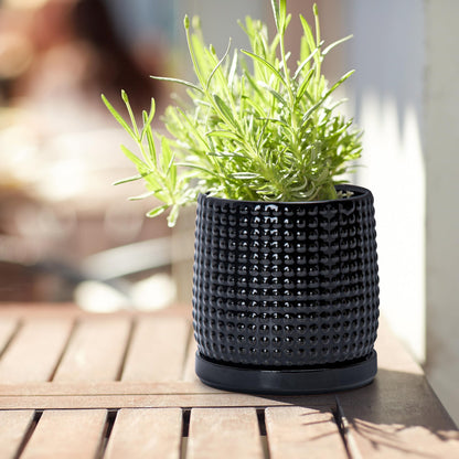 D'vine Dev Set of 2 Ceramic Plants Pots, 4 Inch Beaded Stoneware Flower Pot for Plants with Drainage Hole and Saucer, Glossy Black, 27-E-Z-2