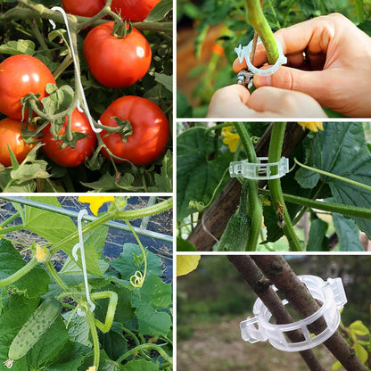 HFXXAD 500Pcs Tomato Clips & Tomato Support j Hooks Plastic Trellis Clips Adjustable Tomato Vine Garden Clips to Prevent Tomatoes Falling Off