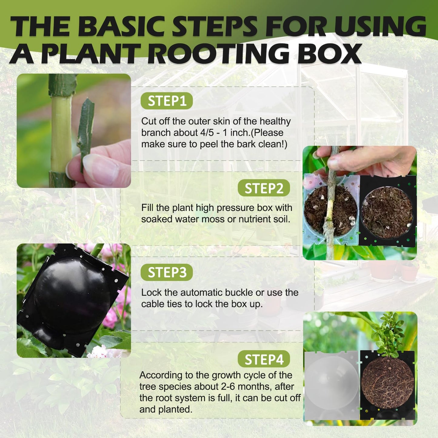 NVAAV Tree Root Growing Box, Air Layering Pods Propagation Kit, Reusable Half Transparent Plants Asexual Reproduction Grafting Ball for Fast Propagation Plants (12 pcs Small)