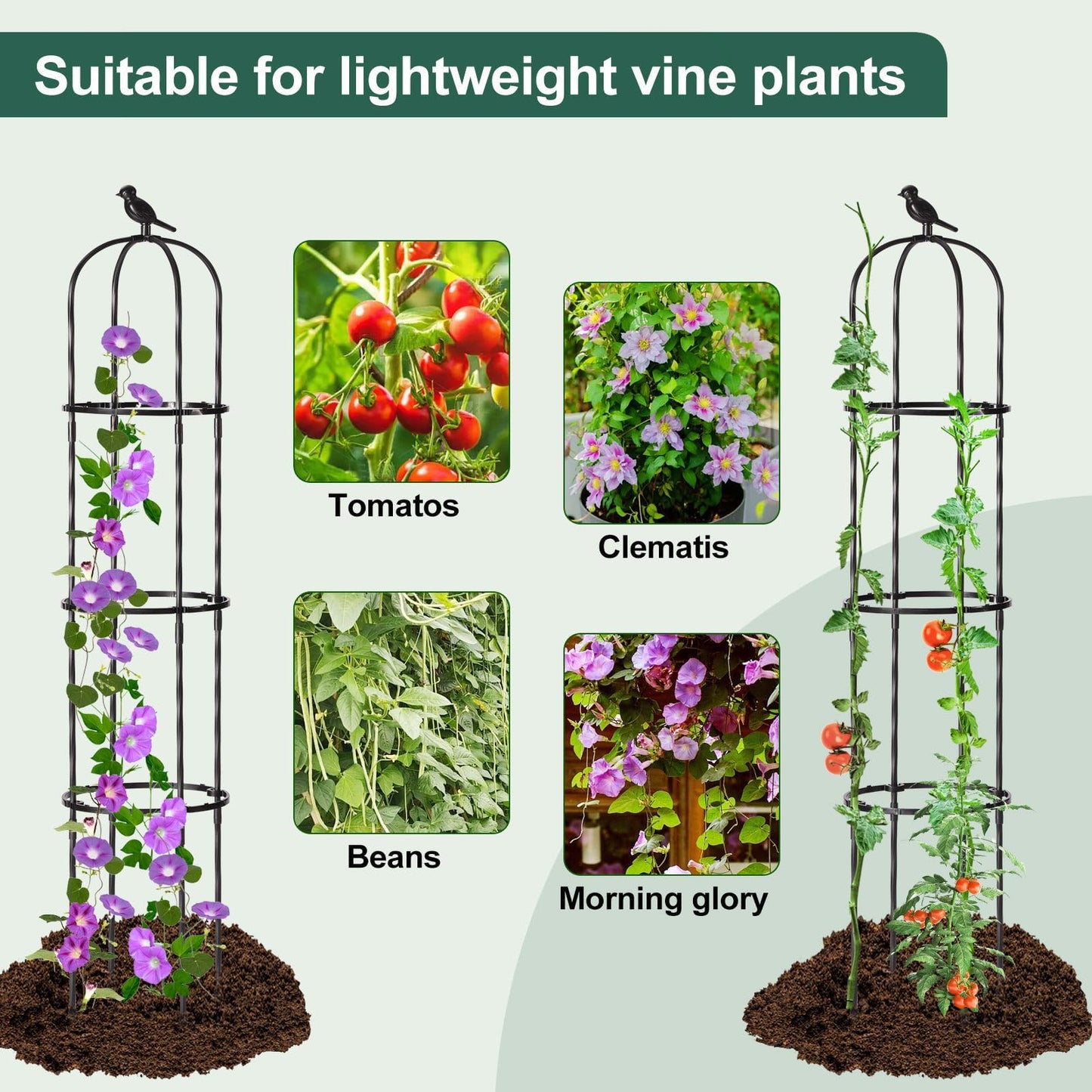 FOLLOOK Garden Obelisk Trellis for Climbing Plants Outdoor, Lightweight Climbing Plant Support Flower Roses Clematis Vegetable Light Vines Round Trellis for Raised Garden Bed Planter, Black, 2 Pack