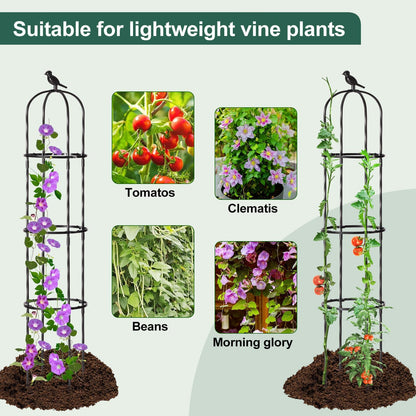 FOLLOOK Garden Obelisk Trellis for Climbing Plants Outdoor, Lightweight Climbing Plant Support Flower Roses Clematis Vegetable Light Vines Round Trellis for Raised Garden Bed Planter, Black, 2 Pack
