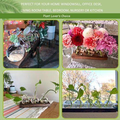 Bettstation Plant Propagation Station, Plants Terrarium with Wooden Stand Bulb Glass Vase Planter Gift for Plant Lovers Home Office Decor