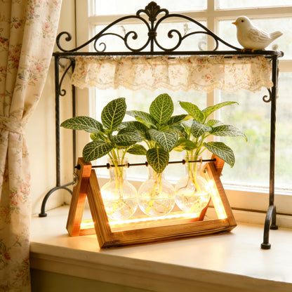Plant Propagation Stations with LED Lights, Plants Terrarium with Retro Wooden Stand Glass Vase Hydroponics Planter Birthday Gift for Plant Lovers Home Garden Office Indoor Decoration-3 Bulb Vase