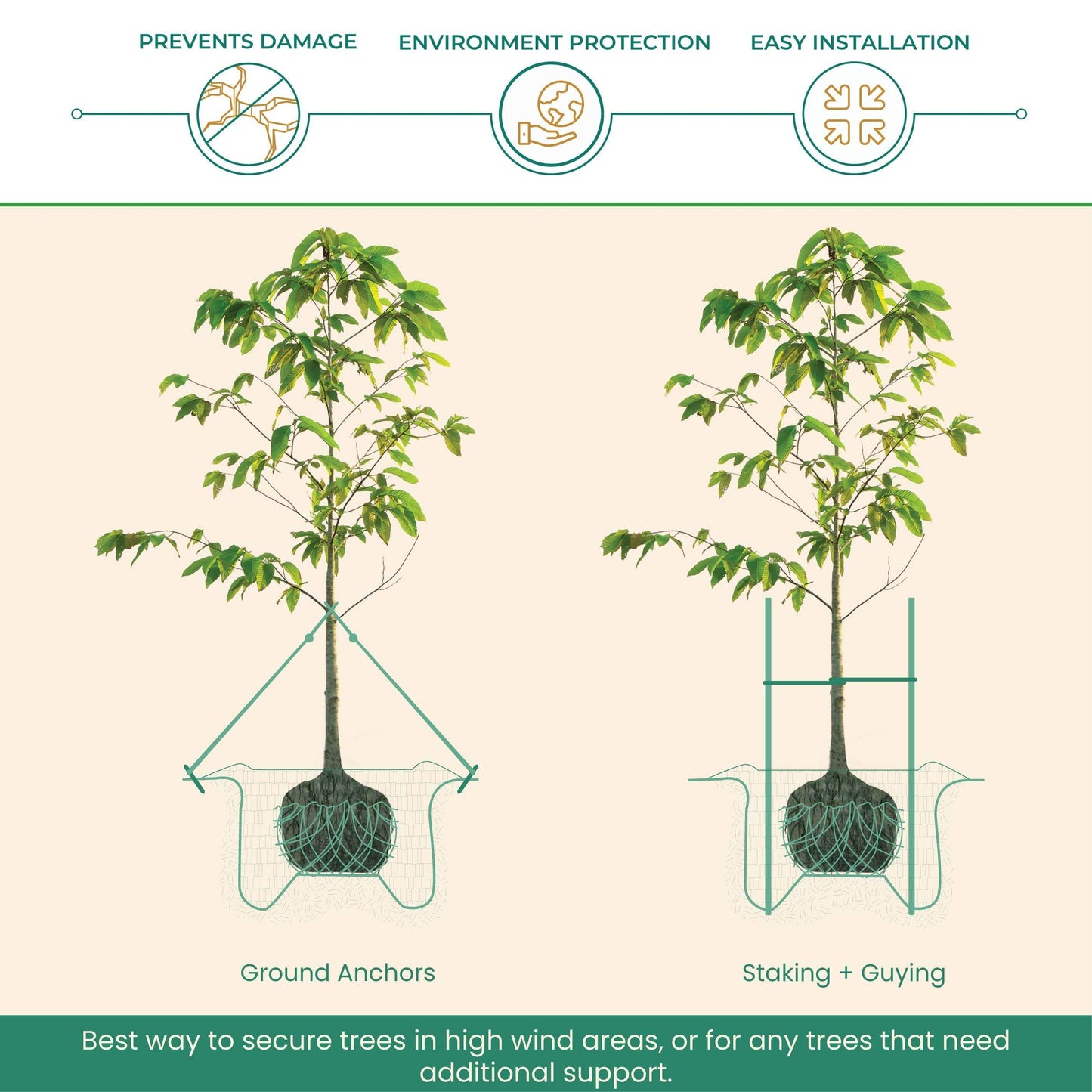 DeepRoot ArborTie Tree Straps for Staking and Guying, Flexible Tree Support Straps, Versatile Tree Rope, Tree Ties For Street Trees, Orchards, and Landscape Trees, 250’ Roll, Olive (AT 2G)