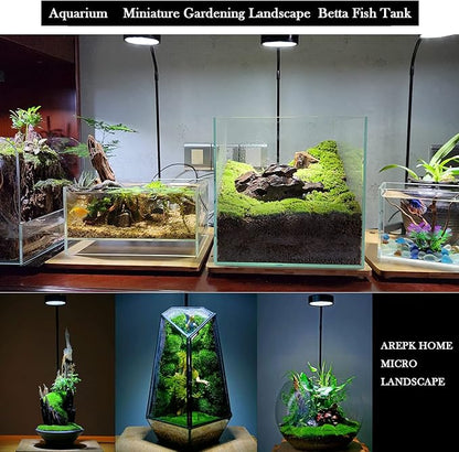AREPK Aquarium Light Full Spectrum LED, for Under 7 Gallon Fish Tank, Light with Timer Auto On/Off, Betta Fish Tank,Indoor Plant Growth, Potted Plants, Succulent, Miniature Gardening Landscape (9)
