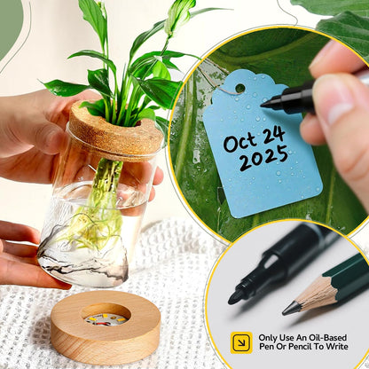 2Pcs Plant Propagation Station with Mountain-Shaped Bottom - Hydroponic Glass Vases, Wooden Base with Lighting, Terrarium Jars for Indoor Growing, Desktop Vivarium, Ideal Gifts for Plant Lovers