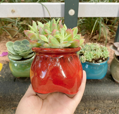 Casktcom 4PCS Handcraft Glazed Succulent Planters，Small Ceramic Succulent Pots with Drainage，Small Pots for Succulents - Mix Color Set