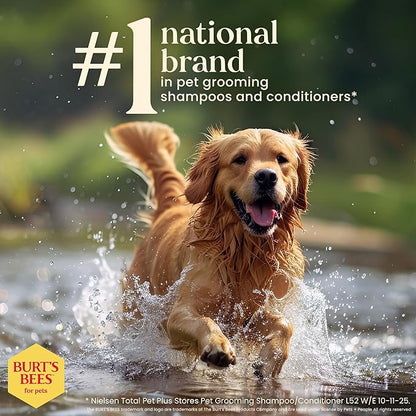 Burt's Bees for Pets Hypoallergenic Dog Shampoo with Shea Butter and Honey, Gentle Fragrance Free Shampoo for Sensitive Dogs with 95% Natural Origin Skin and Coat Formula, 16 Fl Oz - 2 Pack
