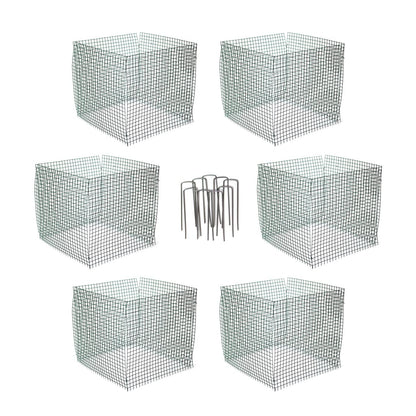 6 New Small Wire Plant Protectors, 12" Square, 12" high (Vinyl Coated Rust Resistant Wire)