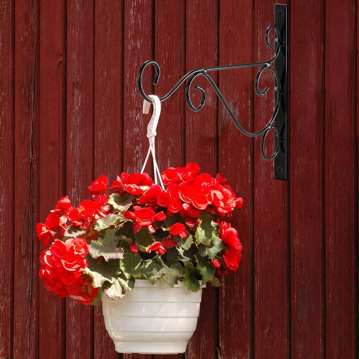 Fasmov 6 Pack Hanging Plant Brackets, 10" Sturdy Iron Wall Mount Flower Basket Hook Indoor Outdoor Bracket for Hanging Bird Feeders, Lanterns, Planters, Wind Chimes, Ornaments with Screws (Black)