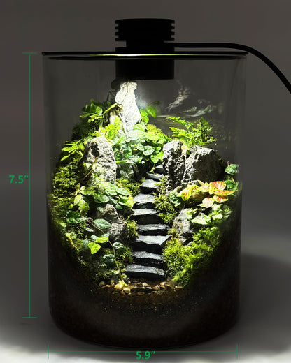 Desktop Glass Terrarium with Grow Light (7.5" H x 5.9" D) - for Succulents, Moss, Mini Gardens, Betta Fish Tanks, Mushroom Cultivation | Indoor Plant Growth | Office/Home Decor | Plant Lover Gifts