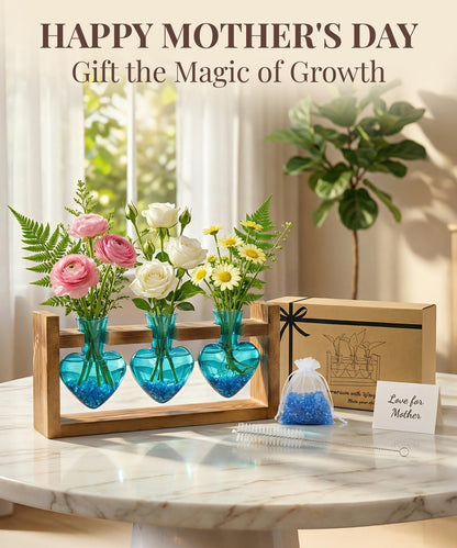 Nacome Plant Terrarium Propagation Stations: Mothers Day Gifts for Mom Plant Lovers Women Wife Daughter - 3 Bulb Glass Vases with Wooden Stand Tabletop for Hydroponics Home Garden Decor
