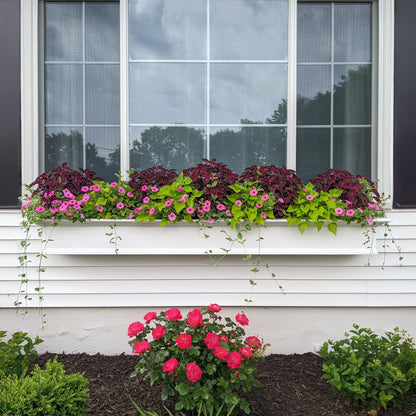 Mayne Yorkshire 7ft Window Box - White - 84in L x 12in W x 10in H - with 1.6 Gallon Built-in Water Reservoir (8827-W)