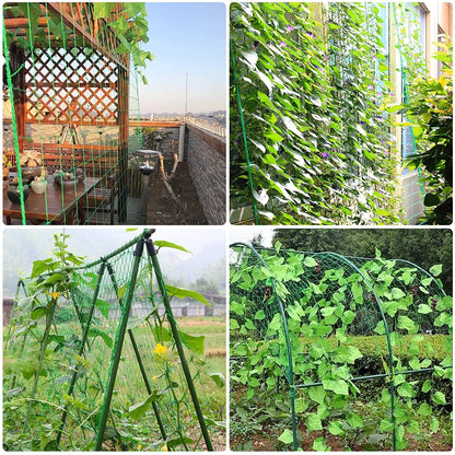Trellis Netting, PDGROW Climbing Plant Support Net Garden Pea Bean Neting, Heavy-Duty PE Trellis Net for Cucumber, Tomato, Vegetables, Fruits, Sweet Pea Plants (6.6' x 16.4'Ft)