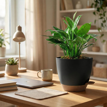 Hylitong Plant Pots 8/7.5/7/6.5/6 Inch Self Watering Pots,5 Pack Planters with Drainage Holes and Saucers,Plastic Flower Pots,Nursery Planters for Indoor Outdoor Plants (Black)