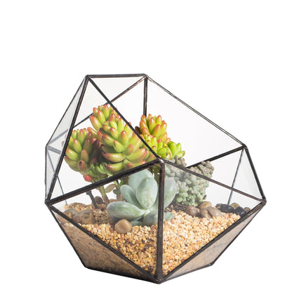 NCYP Opened Geometric Glass Terrarium, 6.69" Bowl Shape Planter for Succulent Plant Cacti, Indoor Balcony Irregular Decor, Garden Miniature Pot, Tabletop Centerpiece (No Plants)