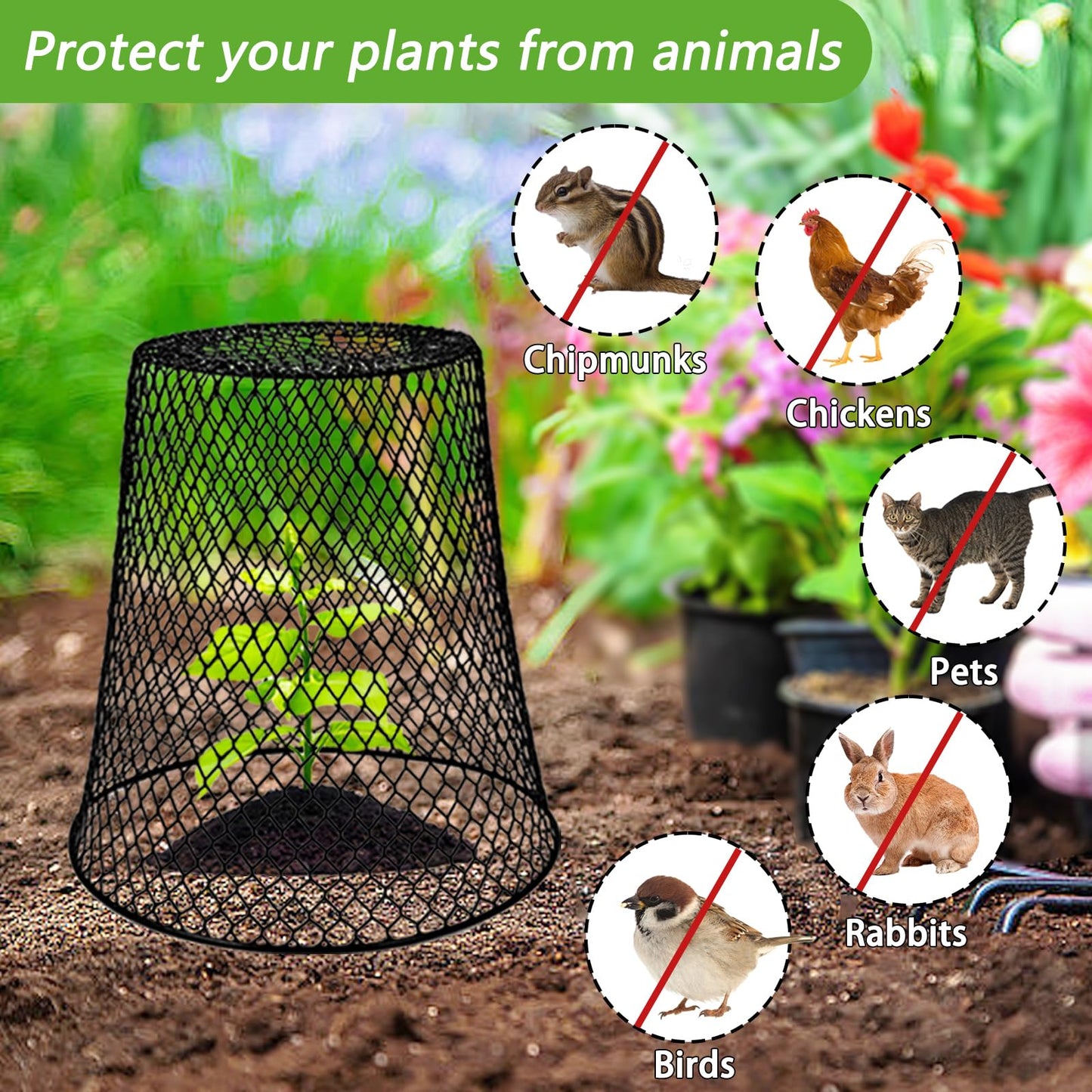 Dizvilz 12Pcs Chicken Wire Cloche Plant Covers,Durable Garden Cloches for Plants,Metal Netting Plant Protectors from Animals for Keeping Bunnies Chicken Squirrels Birds Other Out