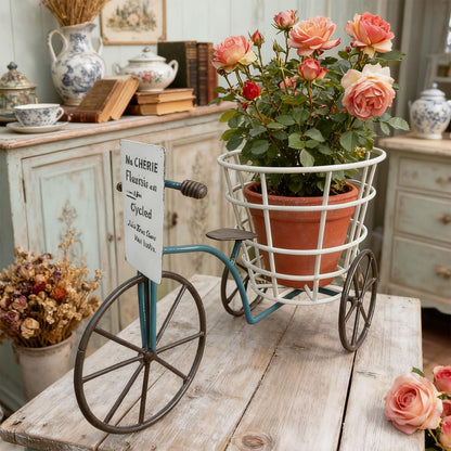 Psdndeww Metal Three Wheel Flower Pots Holder Container for Plant with Drainage Sturdy Construction Easy to Assemble and Maintain Beautiful Iron Tricycle Flower Pots Holder Container
