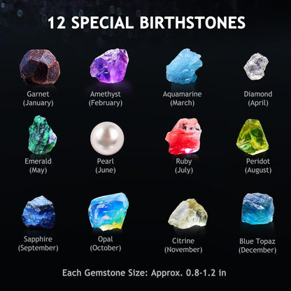 Japace Earth Science Kits for Kids Age 6-8-12-14, Birthstone Gemstone Dig Kit, Geology Kit with Break Your Own Geodes, Crystal Growing Experiment, Rock Mining Kit Birthday Gifts Toys for Boys Girls