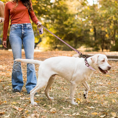 Wisedog Waterproof Dog Collar and Leash Set, M, Pale Pinkish Purple | Adjustable Puppy Collar, Cute Tag, 5FT Leash, Includes Poop Bag, For Small Medium Large Dogs