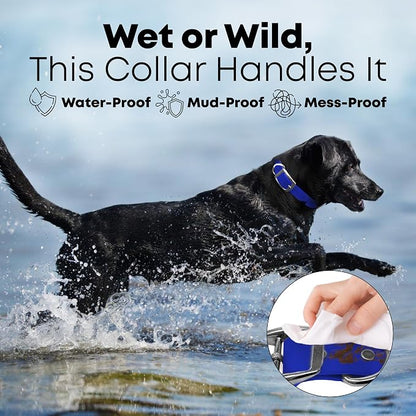 Regal Dog Products Medium Blue Dog Collar with Heavy Duty Double Buckle & D Ring | Vinyl Coated, Custom Fit, Adjustable Biothane Dog Collar | Chew Resistant Waterproof Collar for Dogs