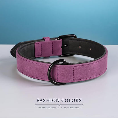 Didog Soft Padded PU Leather Dog Collar, Breathable and Adjustable Dog Collars for Small Dogs, Comfortable for Daily Walk, Purple, M Fit Neck 11-14"(10-20 lbs)