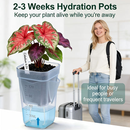 20 Pack 2/2.5 Inch Small Self Watering Pots for Indoor Plants, Mini Clear Plastic Nursery Pots with Water Level Indicator & Drainage Holes, for Seedling Propagation, Succulents, 20 Plant Labels
