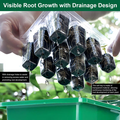 Yalumo Seed Starter Tray Kit, 12 Pack 144 Cells with Humidity Dome, Reusable Seedling Trays with Drainage Holes, Plant Germination Kit with Labels & Tools for Mini Greenhouse Propagator Indoor Garden