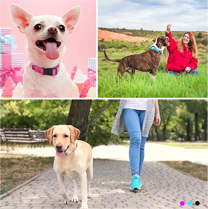 Soft Neoprene Padded Dog Collar and Leash Set for Small Medium Large Dogs, Reflective Durable Nylon Dog Collar with 5ft Leash Easy for Walking, Hot Pink,Neck fit 14.0-23.5’’