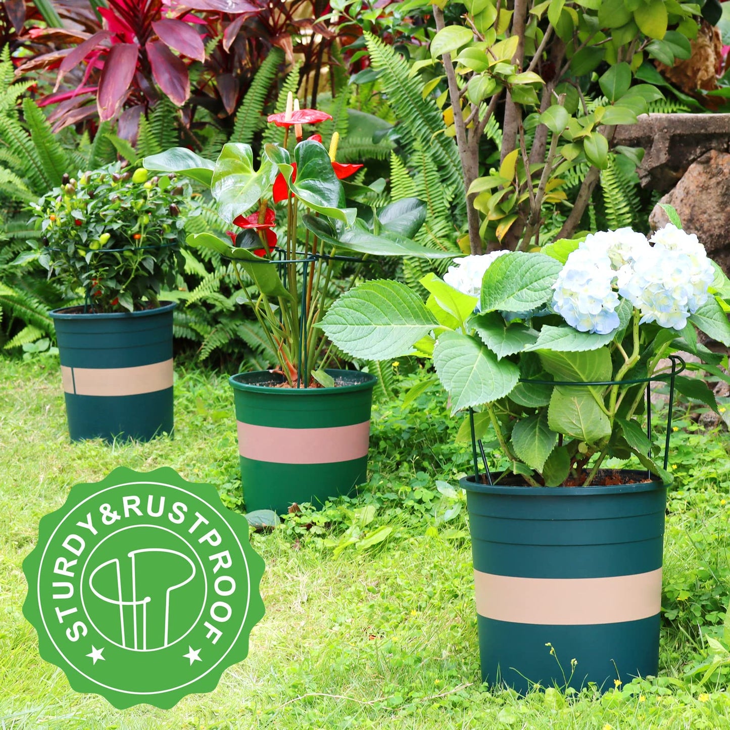 LEOBRO 6 Pack Plant Support Plant Stakes, Peony Cages and Supports, Metal Garden Stakes Plant Supports, Plant Support Stakes for Peony, Tomato, Hydrangea, Indoor Outdoor Plants, 10" W x 15.8" H