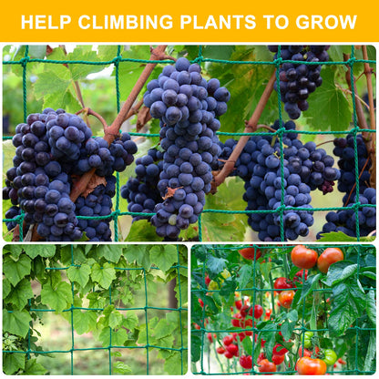 Garden Trellis Netting for Climbing Plants Outdoor, 6.6x26.2 FT Plant Netting for Cucumber, Tomato, 27 Strands Trellis Net with 4x4 Inch Mesh as Vegetable Netting for Grape, Bean
