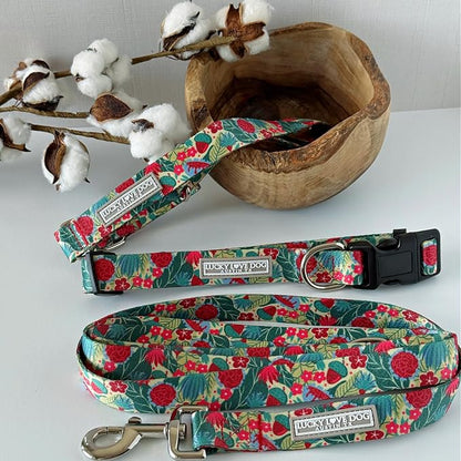 Lucky Love Dog - Adjustable Dog Collar with Easy Click Buckle for Large Ones, Durable, & Comfortable for Male & Female Dogs, Pet Collar for Puppies & Adult Dogs - Ginny, Large