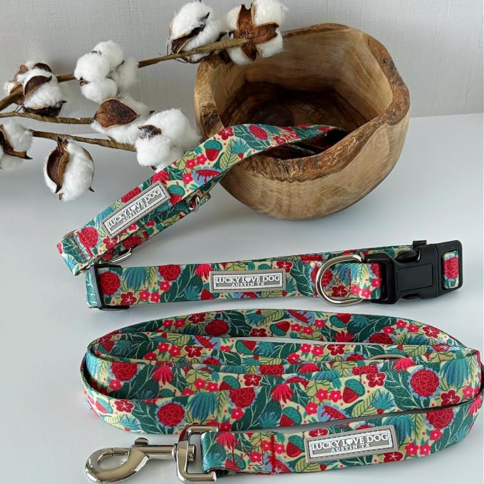 Lucky Love Dog - Easy Click Buckle Dog Collar with Leash Set Combo, Durable & Comfortable for Male & Female Dogs, Pet Collar for Small Dogs, Secure Fit - Ginny Combo, Small