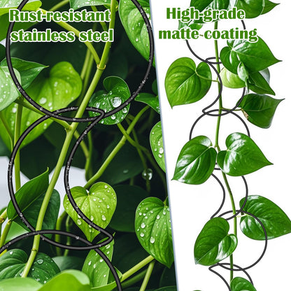 Vodolo 18 Pcs Chain Trellis for Climbing Plants Indoor Outdoor,Wall Plant Vine Climbing Support for Potted Plants,Houseplant Accessorie for Climbing Plants Pertains to Monstera,Pothos,Ivy,Wisteria
