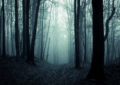 BELECO 7x5ft Fabric Spooky Dark Forest Backdrop Halloween Haunted Misty Woods Magic Grove Vampire Evil Trees Background Halloween Forest Party Decorations Photo Studio Prop