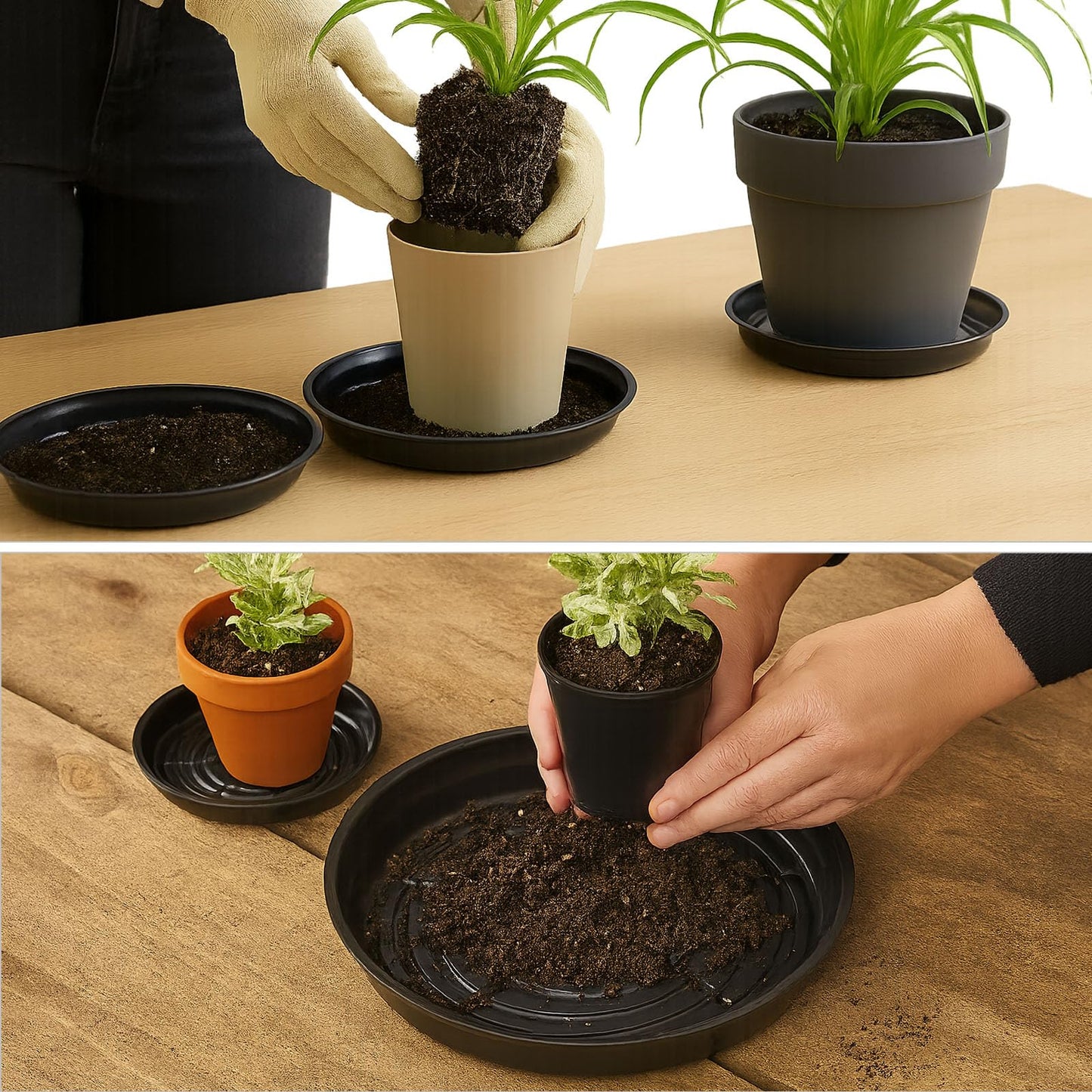 30 Packs 8 Inches Small Plant Saucers for Indoor Outdoor Use Heavy Duty Plastic Plant Plate Dish for Planter Bulk Round Flower Pot Drip Trays to Catch Water 4 to 20 Inch, Black
