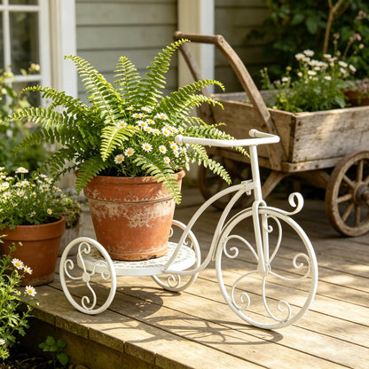 Zorvynelle Metal Bicycle Plant Stand Display Tricycle Plant Rack Flower Holder with Round Ceramic Tile Nesting Tray for Indoor Outdoor Home Garden Patio Wedding Garden Decor