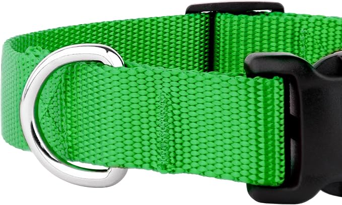 Country Brook Petz - Everyday Nylon Dog Collar and Leash - 10+ Cool Colors (3/4 Inch, Small, Hot Lime Green)