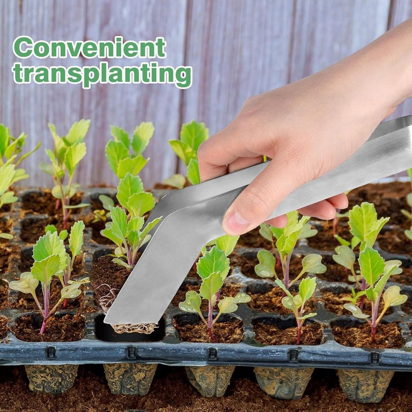 Haofy Seedling Transplant Tongs,Gardening Plant Plier with 1.2in Head for Reducing Root Damage Vegetable Flower Transplanting (L)